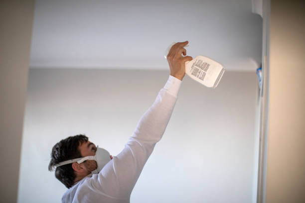 Best Office Mold Removal Services  in Canton, MS