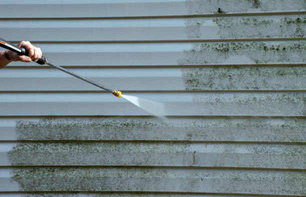 Best Emergency Mold Removal  in Canton, MS