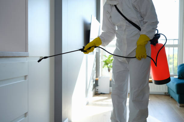 Best Home Mold Removal  in Canton, MS
