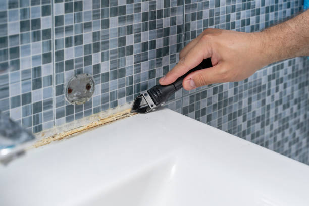 Best Fast Mold Removal  in Canton, MS